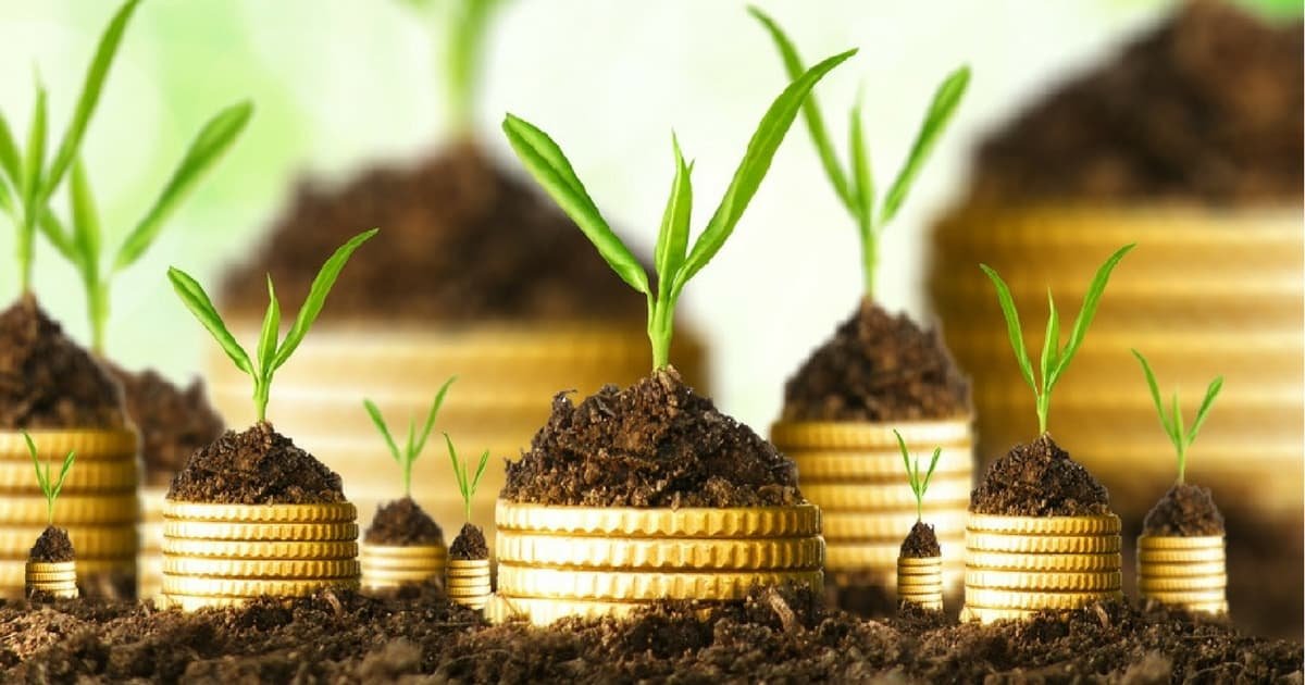 LTN (Letra do Tesouro Nacional): saiba tudo sobre esse título