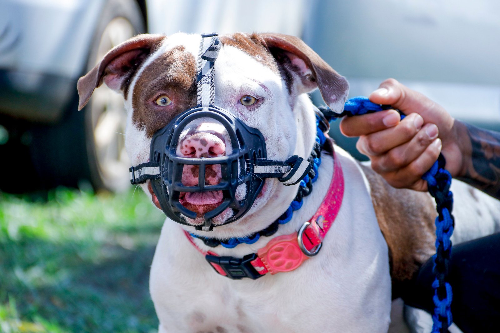 53104287427_e7d862d04f_k