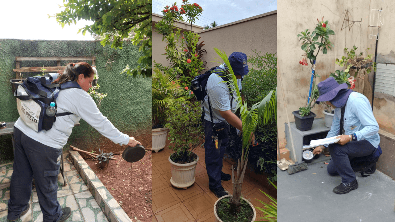 HD_1280_x_720_px_19_3265887042