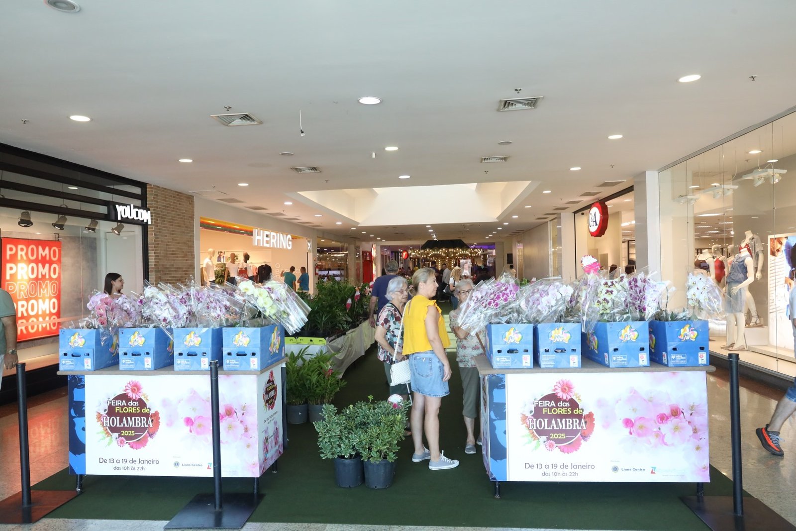 54264195546_4049133576_k