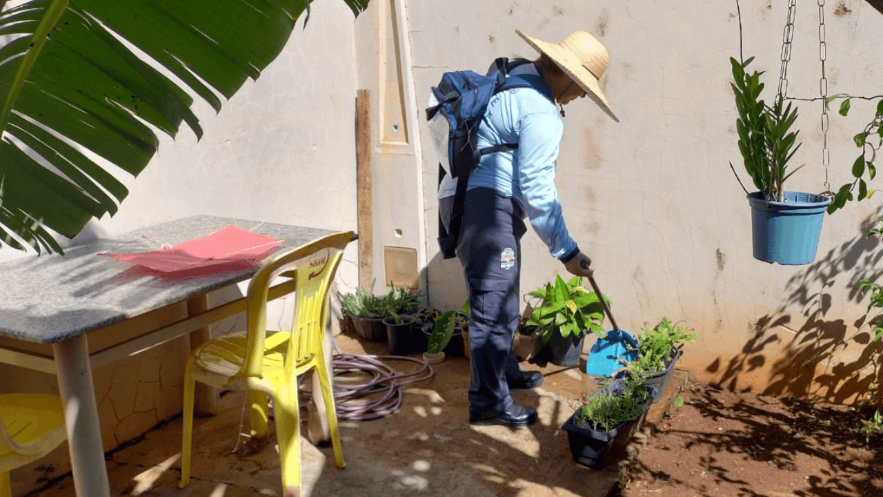 Copia_de_Arquivo_Modelos_de_Capa_p_Info_100_157641ded5