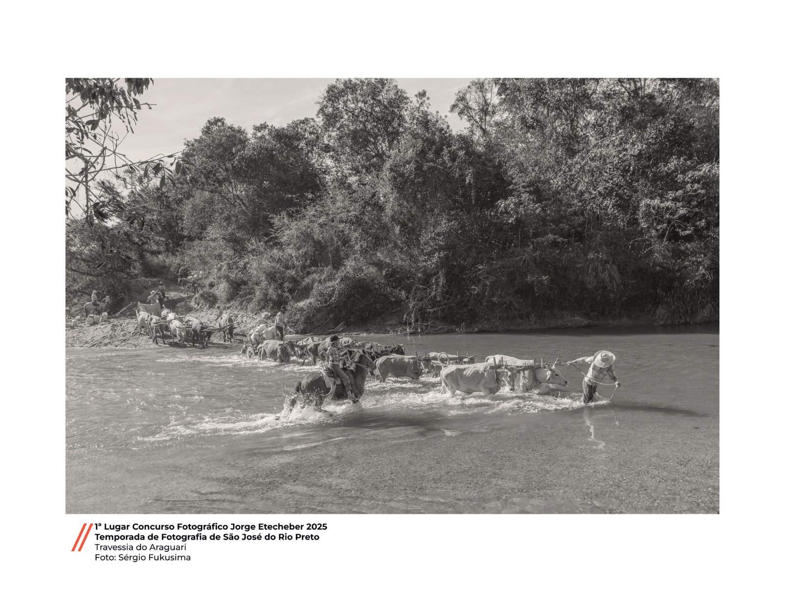 1 lugar (Travessia do Araguari foto_Sergio Fukusima)