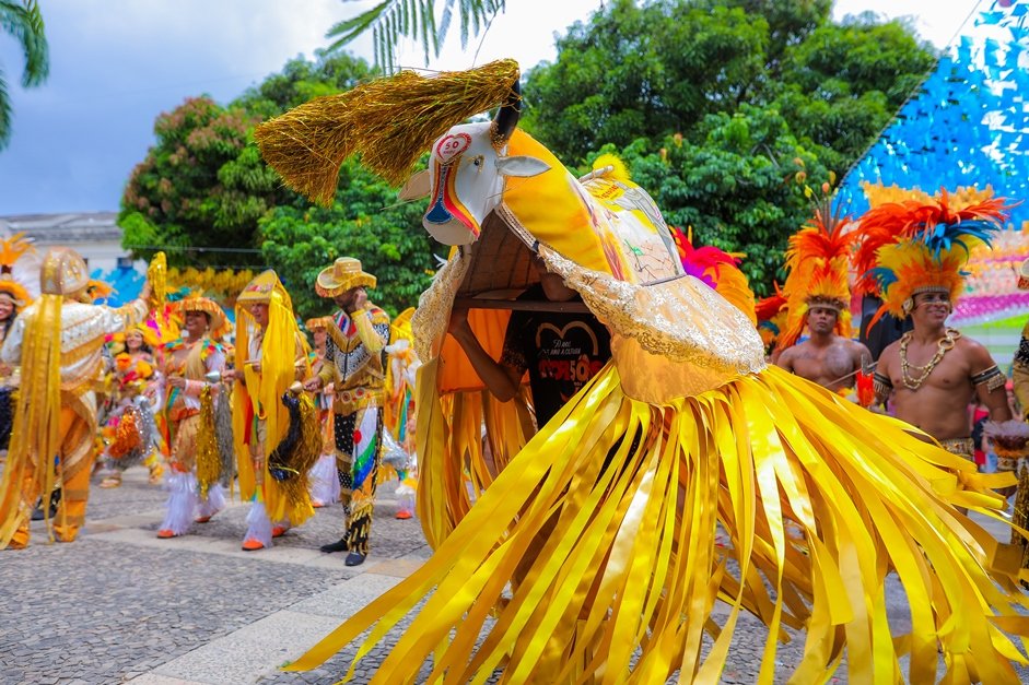 Boi de Morros MA - Divulgação