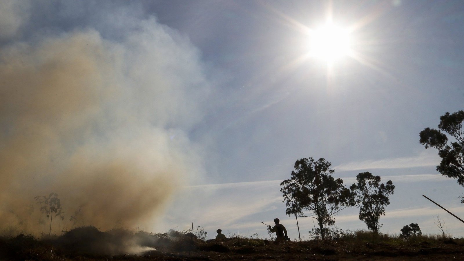 54545569317_de17ac98c9_k_b1854cb7bb