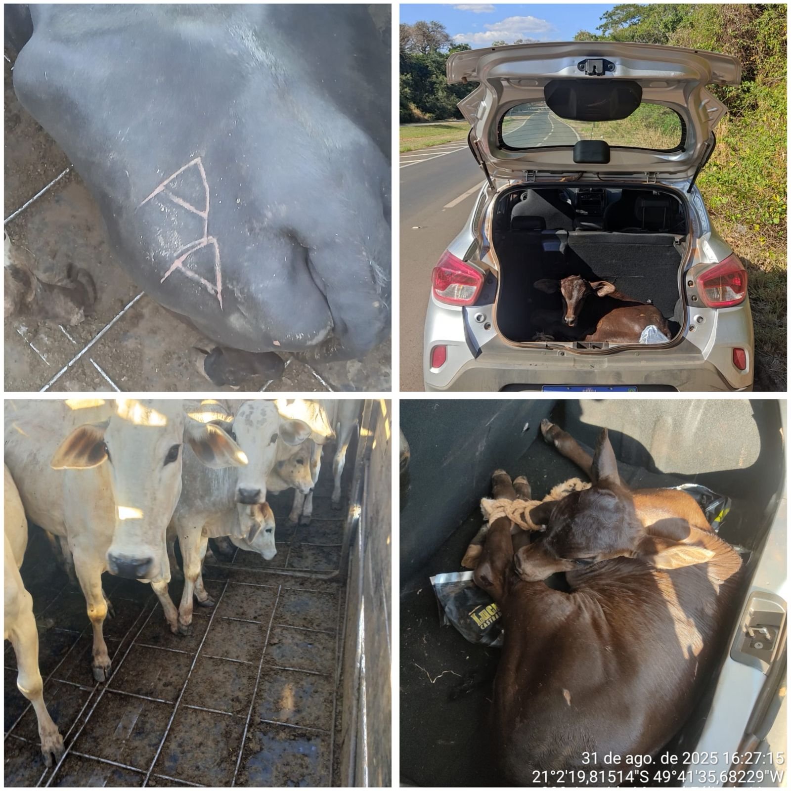 WhatsApp-Image-2025-09-01-at-11.44.03