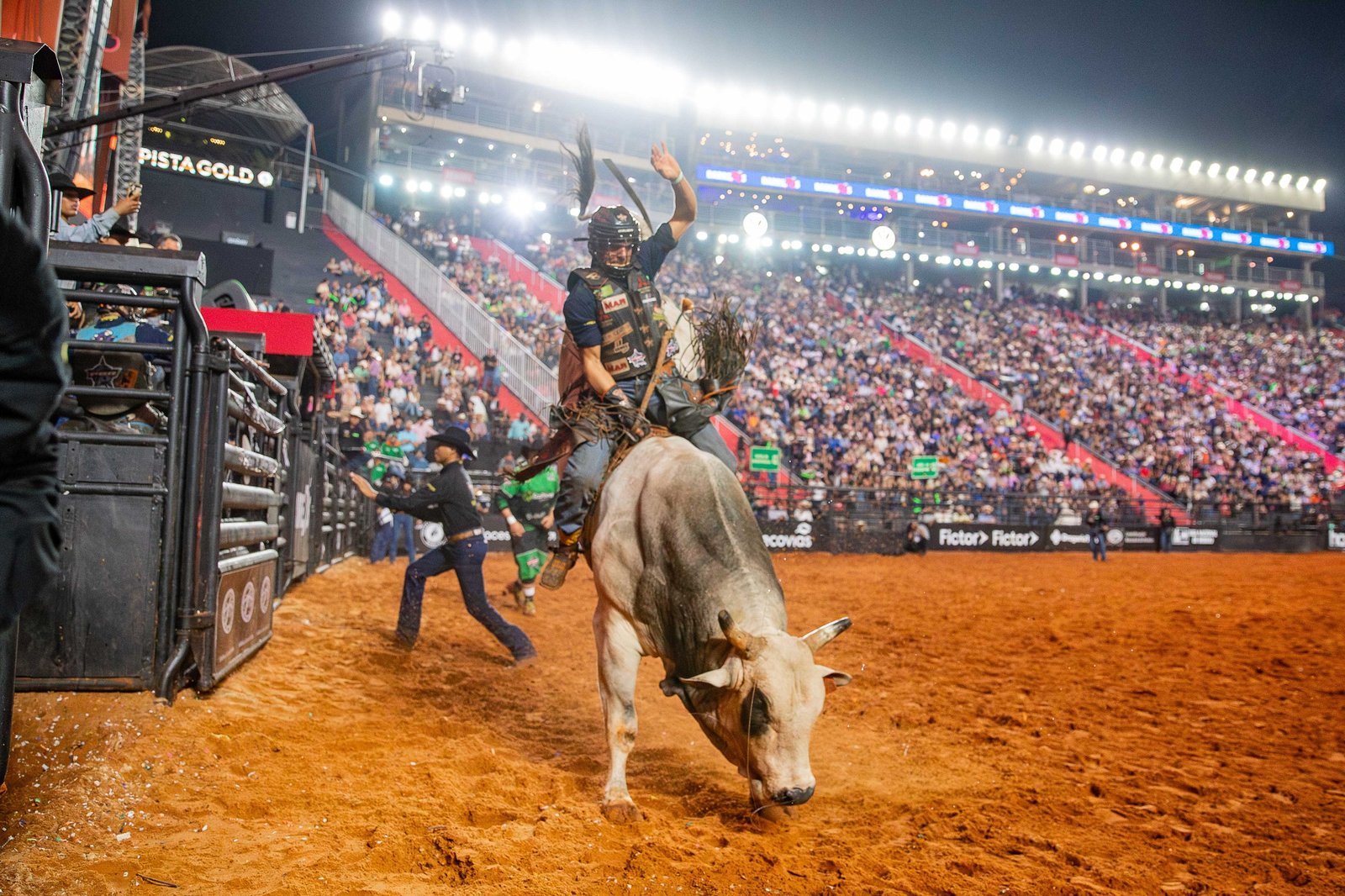 WhatsApp Image 2025-09-24 at 10.45.22