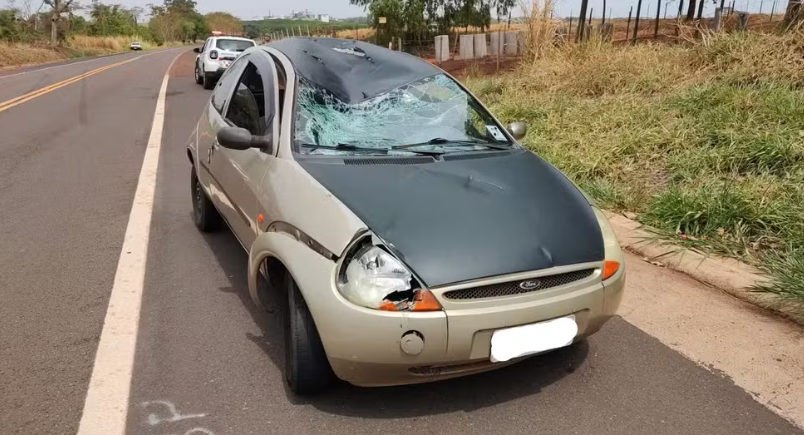 Captura de tela 2025-10-07 154410