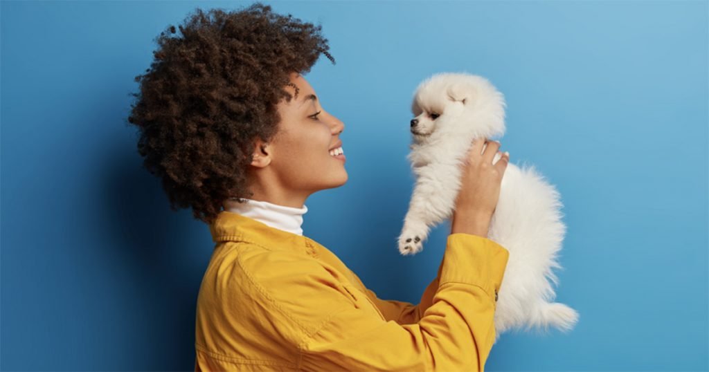 20251105_cachorrinho-1024x538