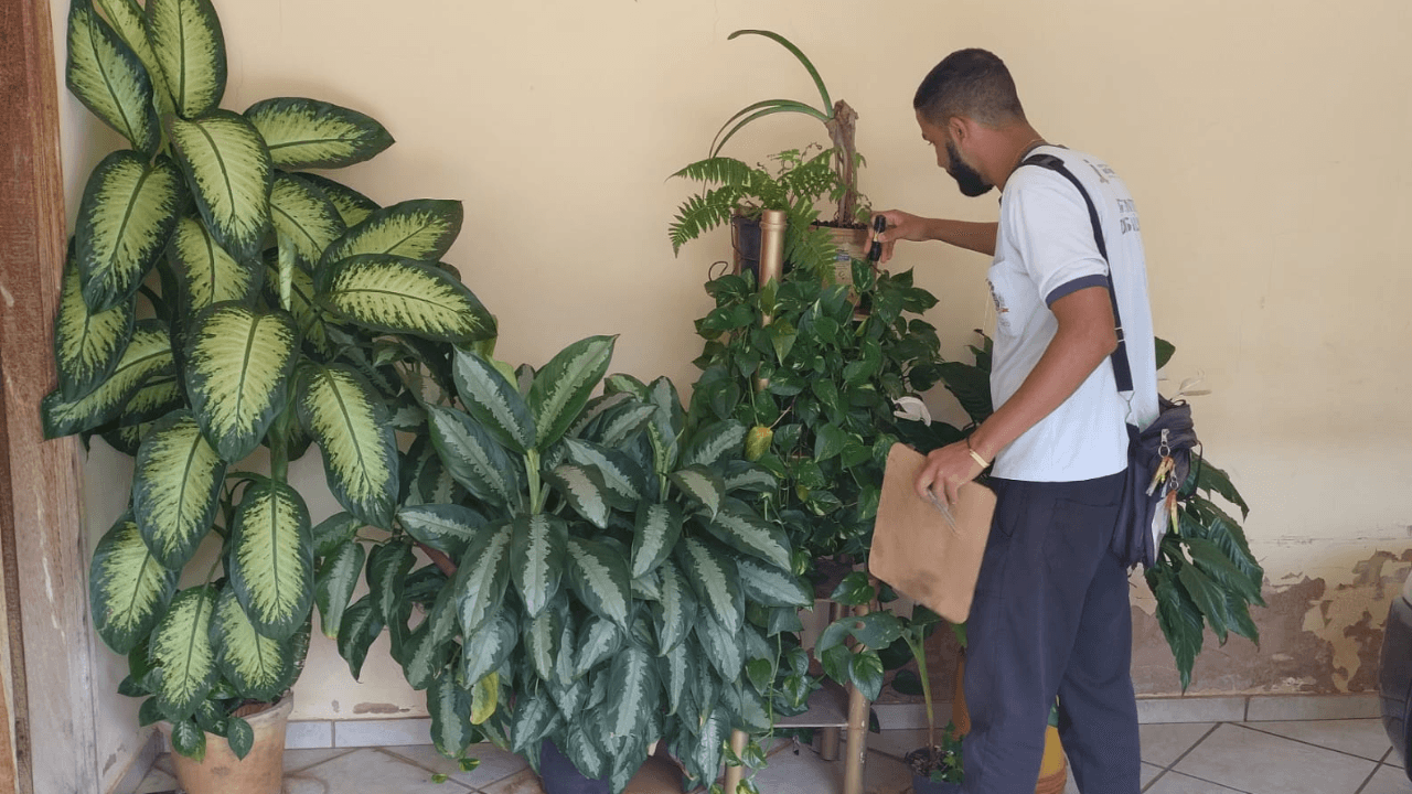 MUTIRAO_AGENTES_5_ETAPA_CAPA_8c1380a07a