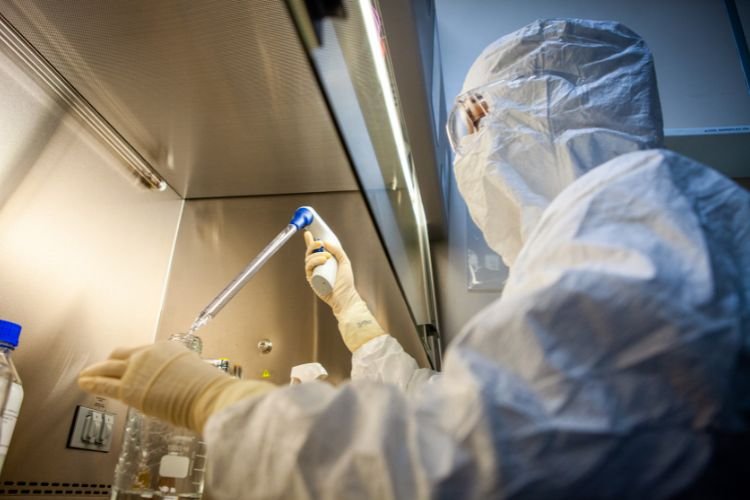 alab.mabfebreamarela_interna1