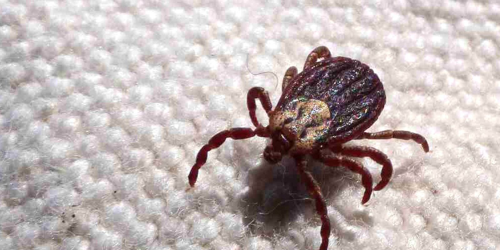 © Prefeitura de Jundiaí