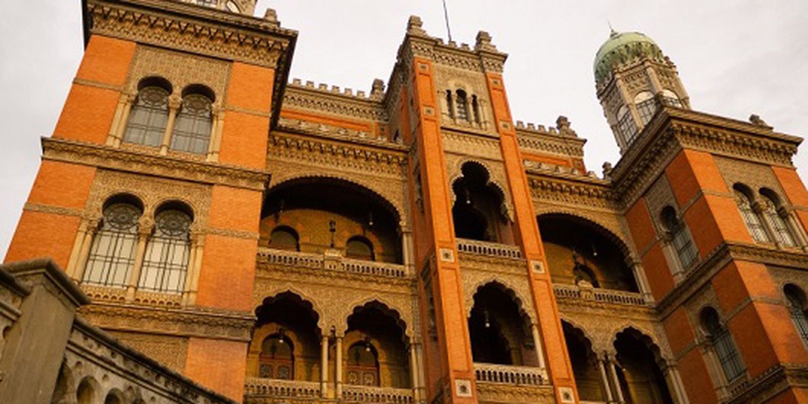 © Rodrigo Méxas/Fiocruz