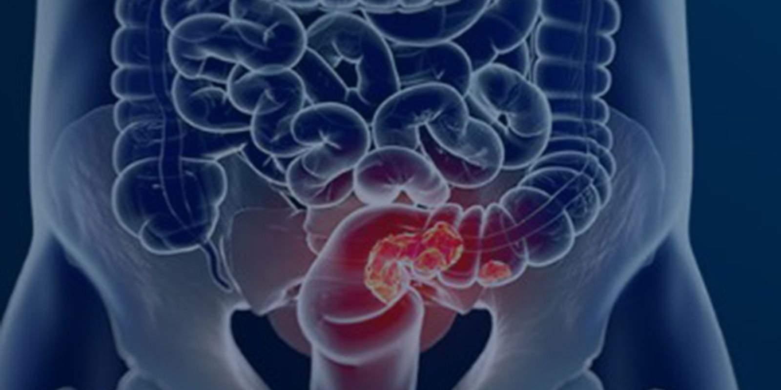 © Câmara Municipal de Afonso Claudio/Divulgação