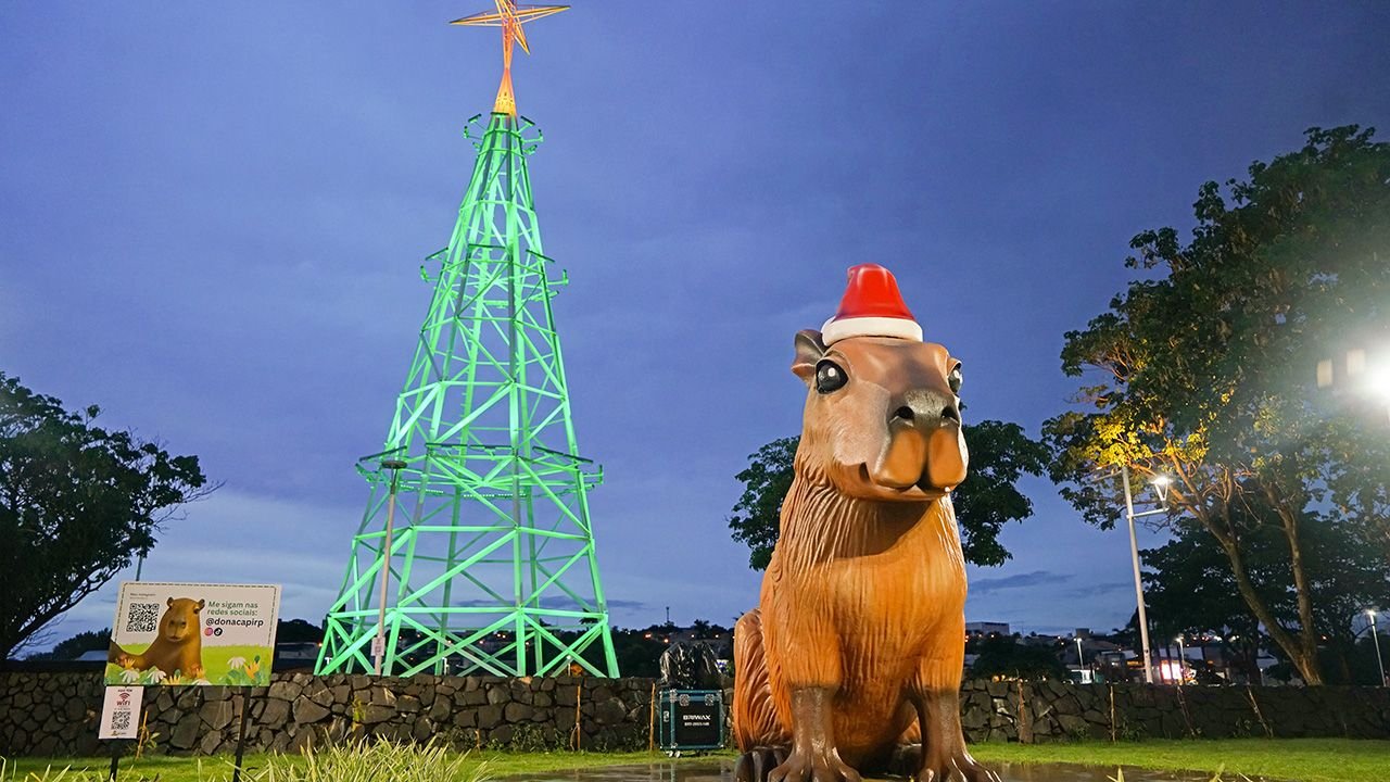 arvore_capi_fbb487e2da