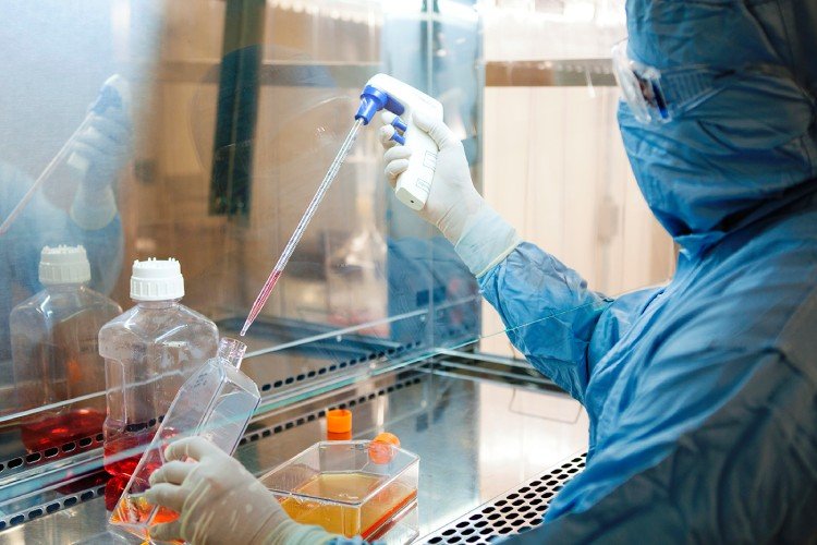 interna3-desenvolvimentodengue-IMG_0553