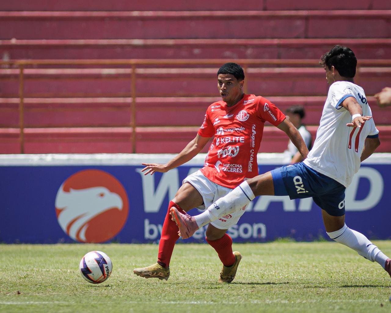 11f34a31-b2d3-4de8-aafc-9f7f9251c085