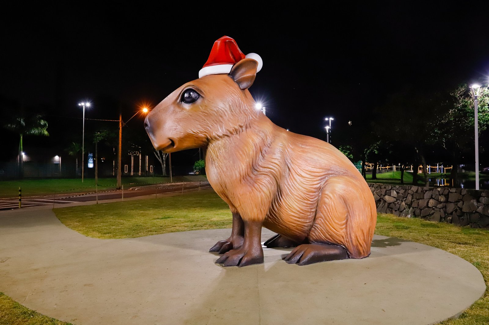 54932487119_dcfcaf1eec_k