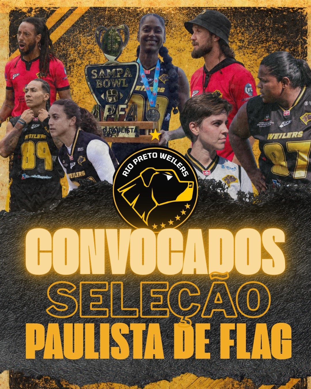 6dc40fe4-dde4-4569-bb37-aff72603185f