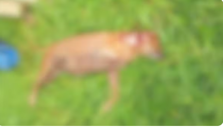 Captura de tela 2026-01-16 101753