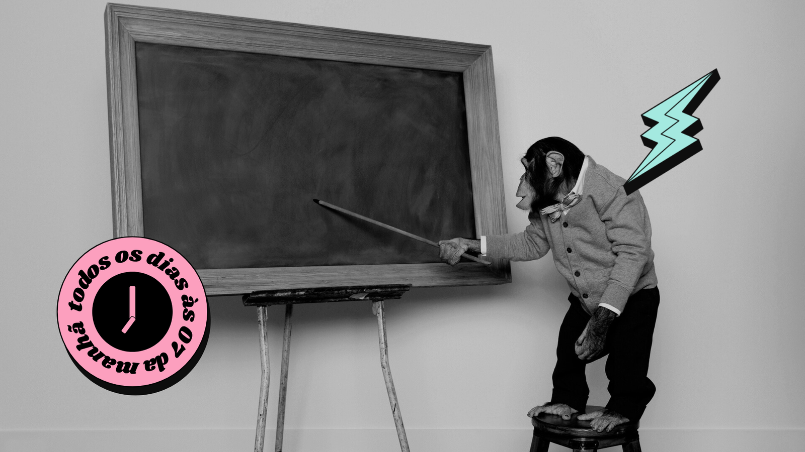 The BRIEF 👀🧠⚡