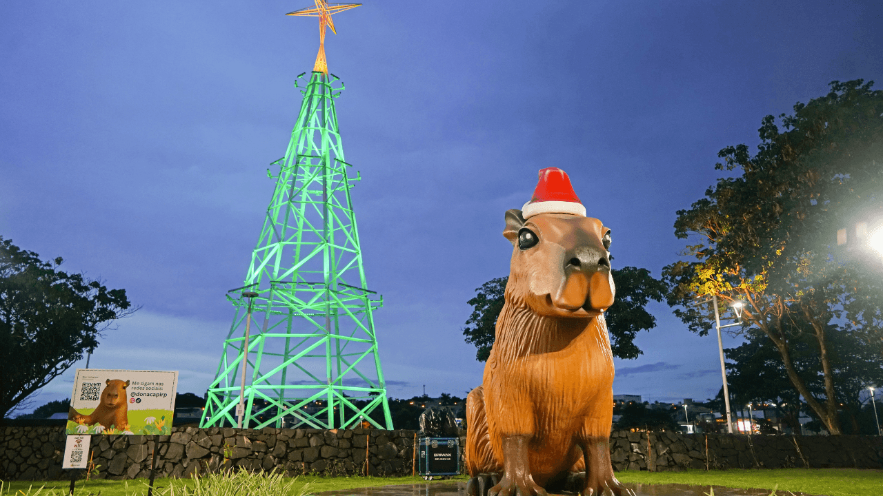 Ferias_Dona_Capi_55001fd4e7