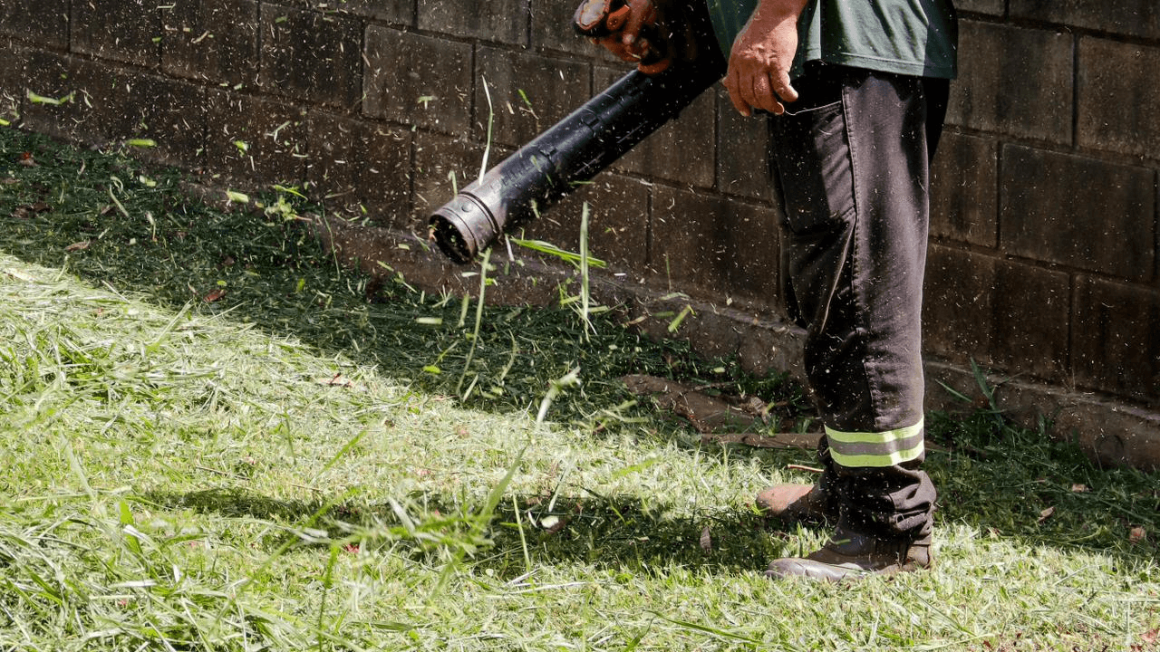 Reeducandos_2_f7ddf94248