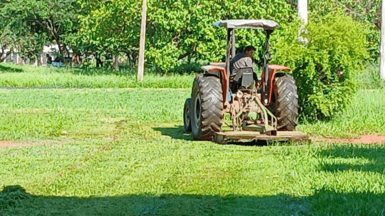 Zeladoria_Urbana_Mutirao_6131d43ad3