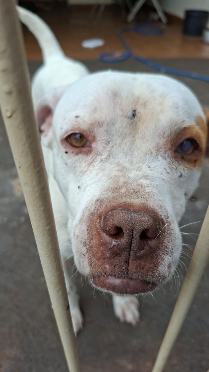 84cf30f2-4b52-4e94-8d3d-0175334d3e76