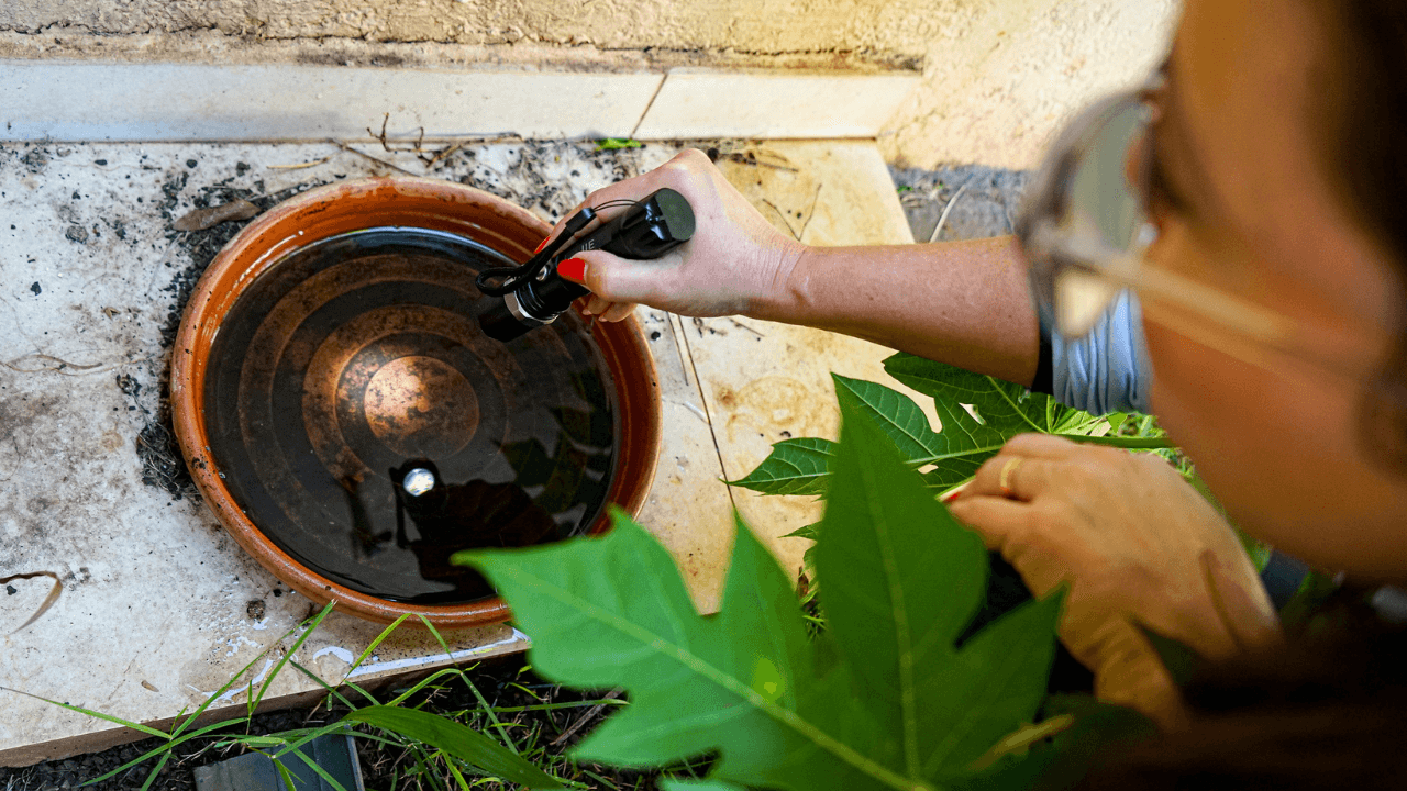 Capa_Mutirao_dos_agentes_21_de_fevereiro_0e8e44db0a