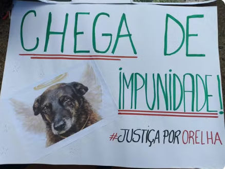 Captura de tela 2026-02-02 100636