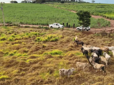 Captura de tela 2026-02-04 101738