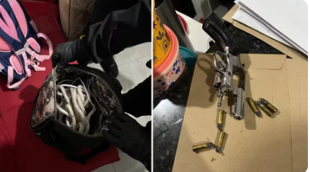 Captura de tela 2026-02-12 134141