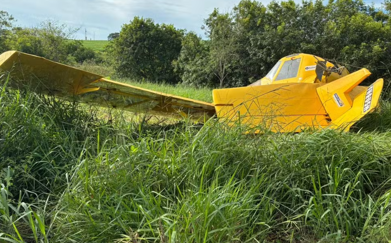 Captura de tela 2026-02-13 121520