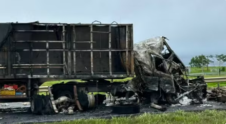 Captura de tela 2026-02-25 084548