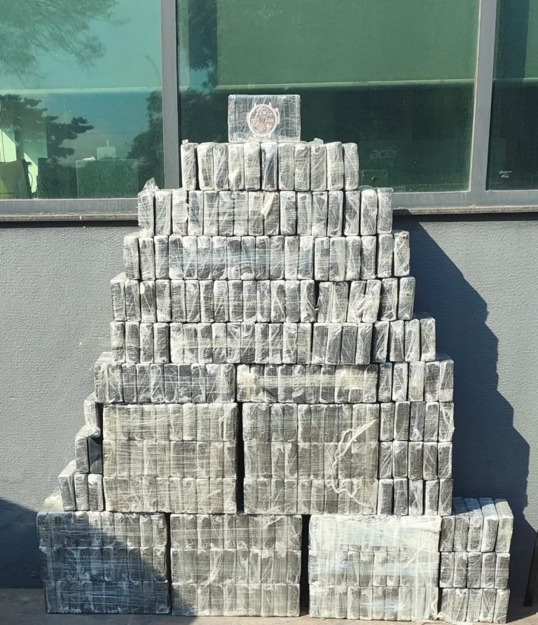 cocaina_apreendida_SSP-1-768x893