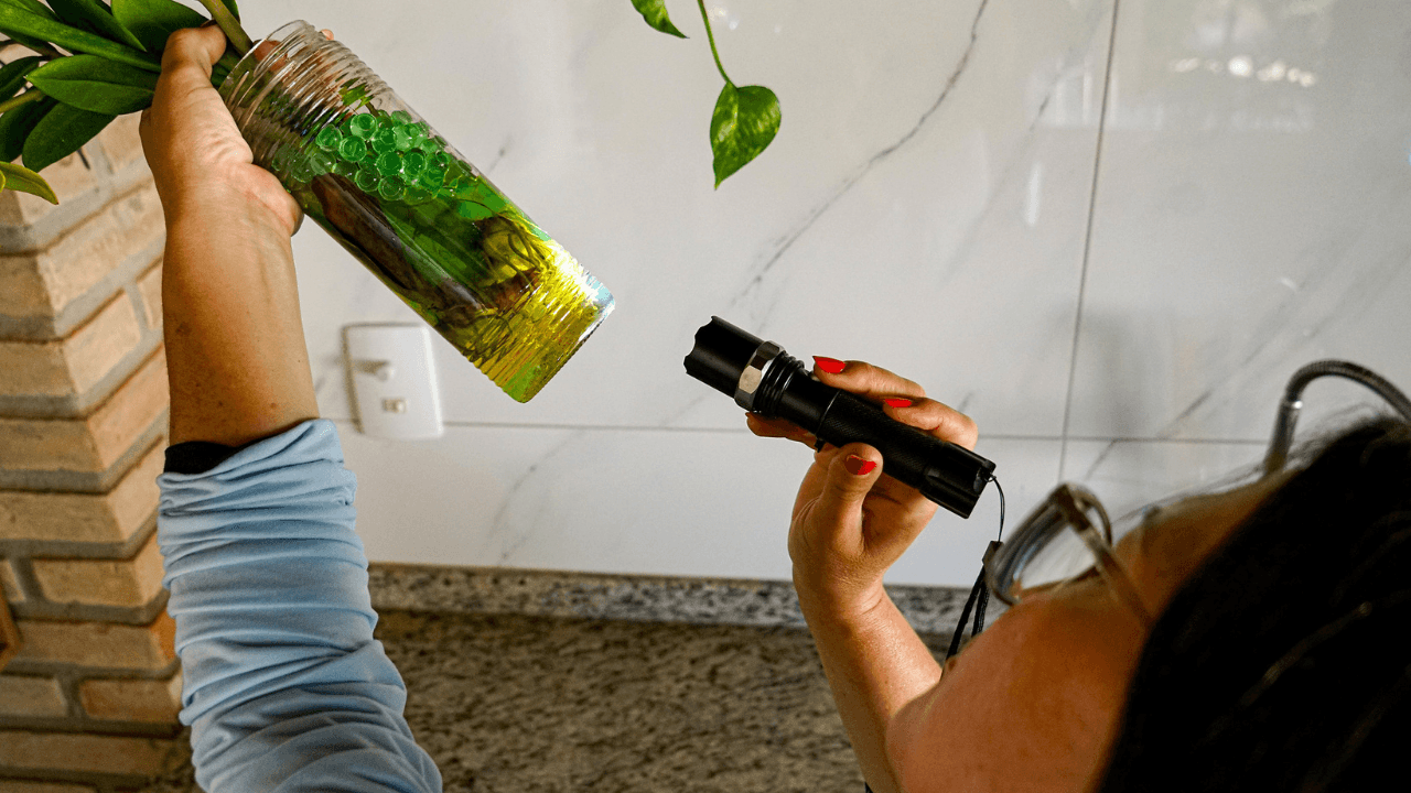 mutirao_aedes_capa_63562b3777