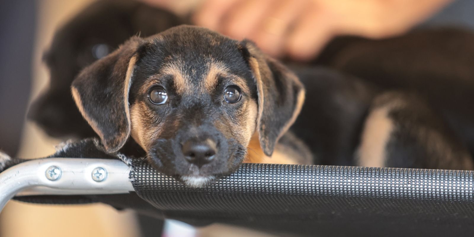 © Paulo Pinto/Agência Brasil