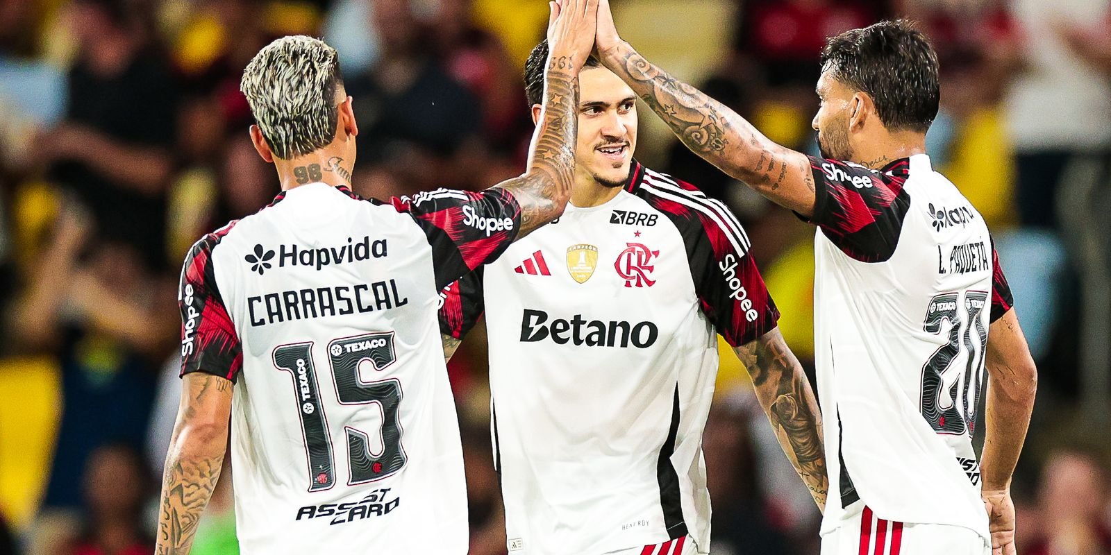 © Gilvan de Souza/Flamengo/Direitos Reservados