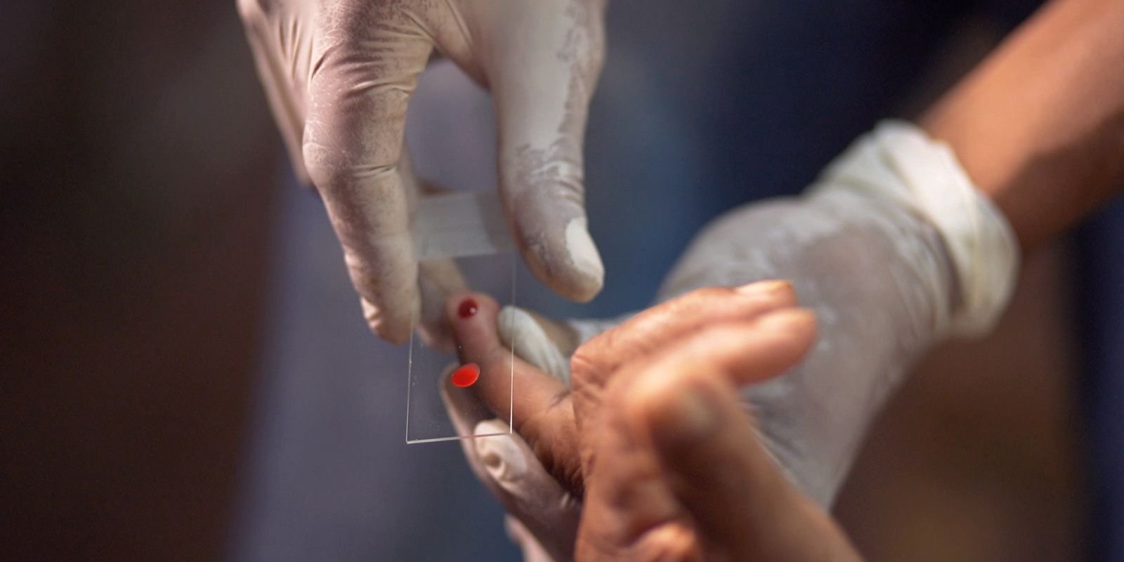 © TV Brasil/Reprodução